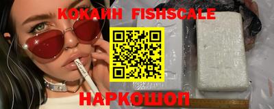 jwh Бийск