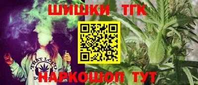 jwh Бийск