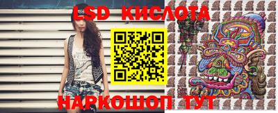 jwh Бийск