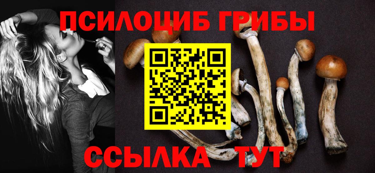 Псилоцибиновые грибы мицелий Карталы