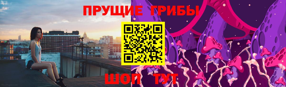 Галлюциногенные грибы Psilocybe  даркнет сайт  Карталы  Вход с VPN 